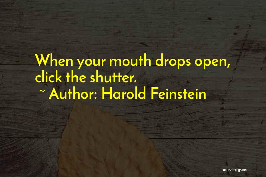 Harold Feinstein Quotes: When Your Mouth Drops Open, Click The Shutter.