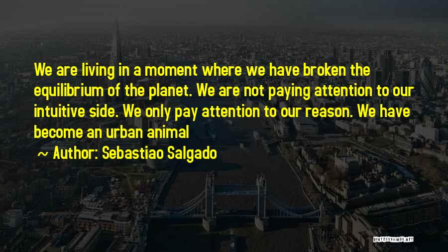 Sebastiao Salgado Quotes: We Are Living In A Moment Where We Have Broken The Equilibrium Of The Planet. We Are Not Paying Attention