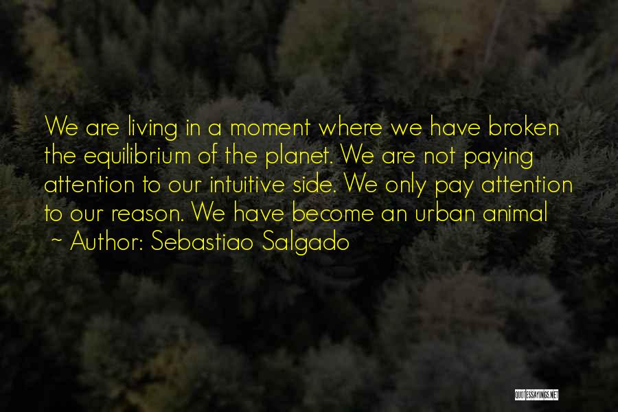 Sebastiao Salgado Quotes: We Are Living In A Moment Where We Have Broken The Equilibrium Of The Planet. We Are Not Paying Attention