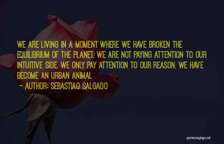 Sebastiao Salgado Quotes: We Are Living In A Moment Where We Have Broken The Equilibrium Of The Planet. We Are Not Paying Attention