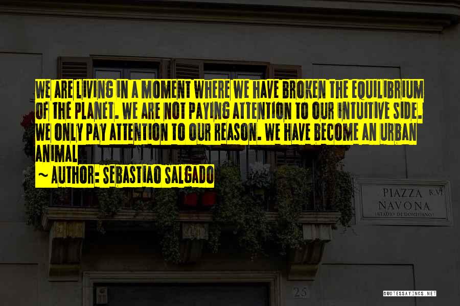 Sebastiao Salgado Quotes: We Are Living In A Moment Where We Have Broken The Equilibrium Of The Planet. We Are Not Paying Attention