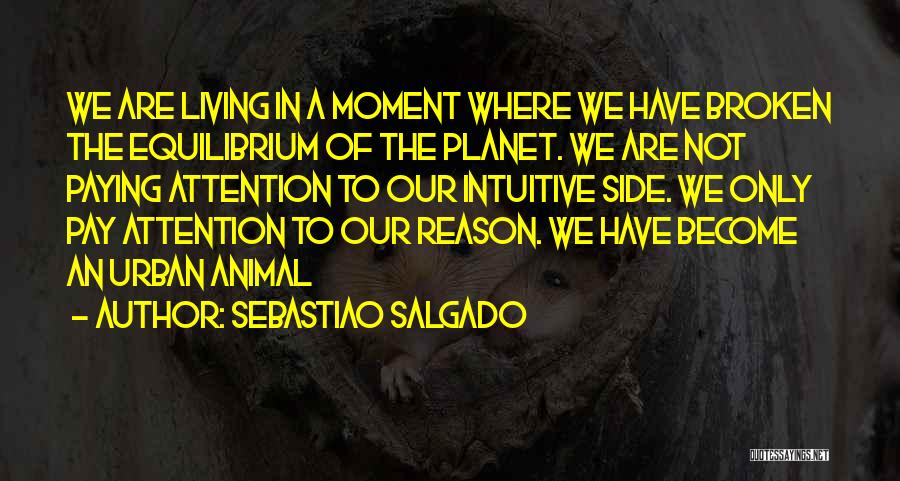 Sebastiao Salgado Quotes: We Are Living In A Moment Where We Have Broken The Equilibrium Of The Planet. We Are Not Paying Attention