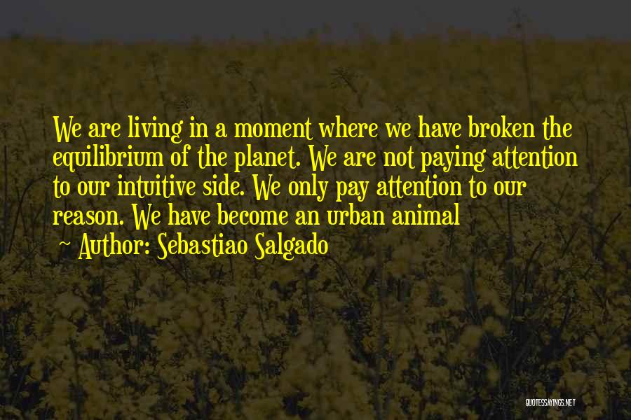 Sebastiao Salgado Quotes: We Are Living In A Moment Where We Have Broken The Equilibrium Of The Planet. We Are Not Paying Attention