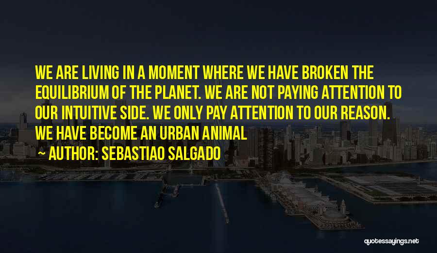 Sebastiao Salgado Quotes: We Are Living In A Moment Where We Have Broken The Equilibrium Of The Planet. We Are Not Paying Attention