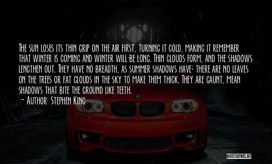 Stephen King Quotes: The Sun Loses Its Thin Grip On The Air First, Turning It Cold, Making It Remember That Winter Is Coming