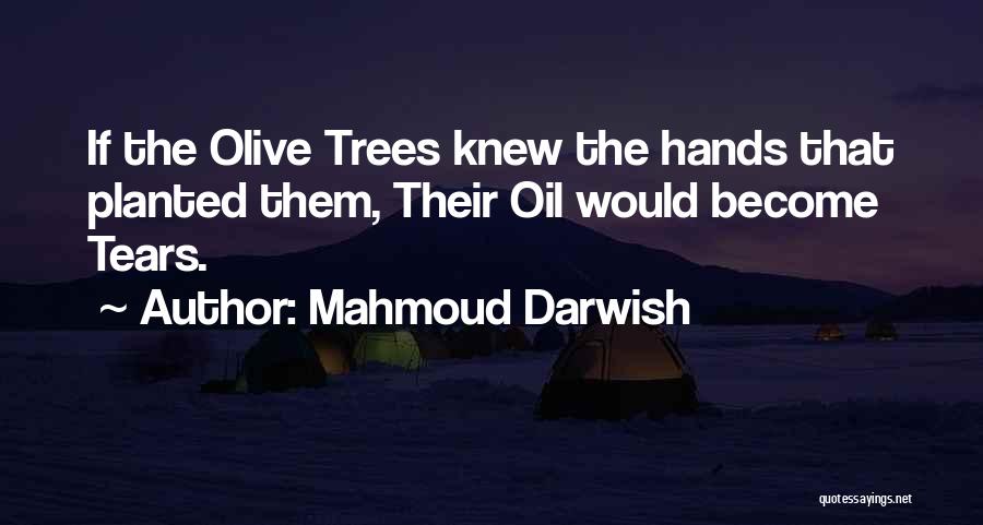 Mahmoud Darwish Quotes: If The Olive Trees Knew The Hands That Planted Them, Their Oil Would Become Tears.