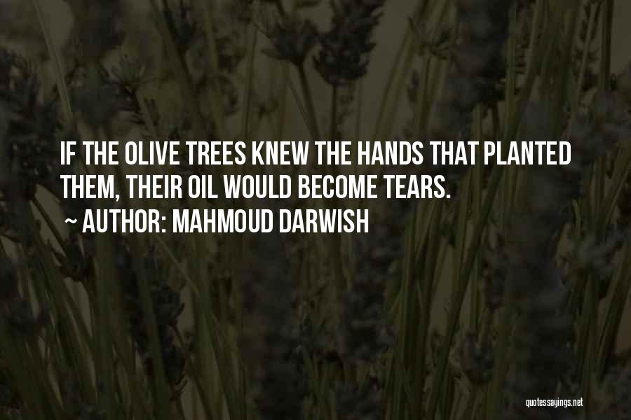 Mahmoud Darwish Quotes: If The Olive Trees Knew The Hands That Planted Them, Their Oil Would Become Tears.
