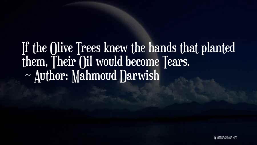 Mahmoud Darwish Quotes: If The Olive Trees Knew The Hands That Planted Them, Their Oil Would Become Tears.