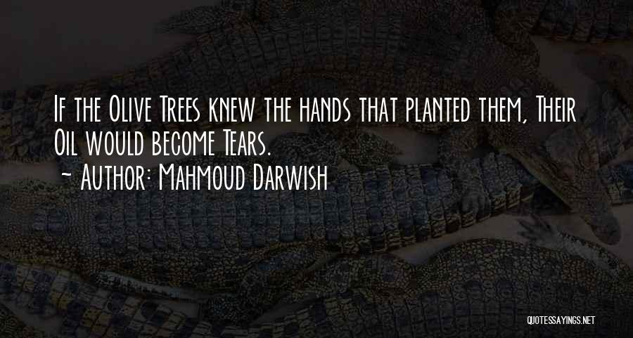 Mahmoud Darwish Quotes: If The Olive Trees Knew The Hands That Planted Them, Their Oil Would Become Tears.