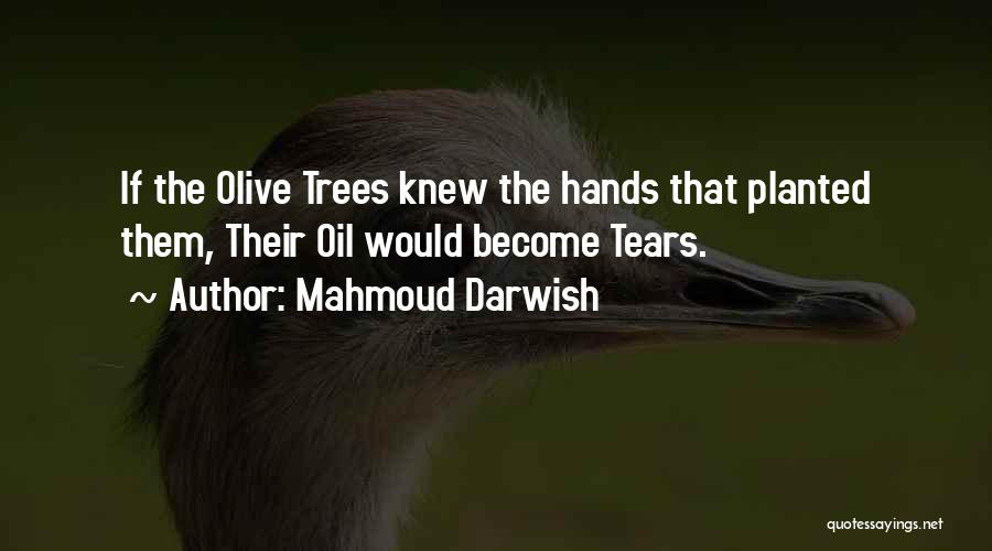 Mahmoud Darwish Quotes: If The Olive Trees Knew The Hands That Planted Them, Their Oil Would Become Tears.