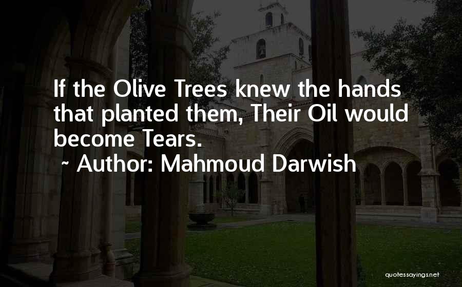 Mahmoud Darwish Quotes: If The Olive Trees Knew The Hands That Planted Them, Their Oil Would Become Tears.