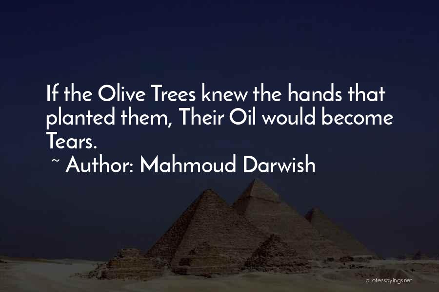 Mahmoud Darwish Quotes: If The Olive Trees Knew The Hands That Planted Them, Their Oil Would Become Tears.