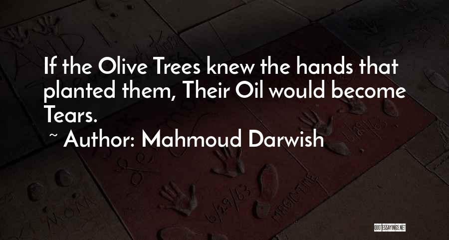 Mahmoud Darwish Quotes: If The Olive Trees Knew The Hands That Planted Them, Their Oil Would Become Tears.