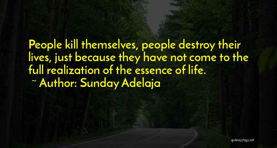 Sunday Adelaja Quotes: People Kill Themselves, People Destroy Their Lives, Just Because They Have Not Come To The Full Realization Of The Essence