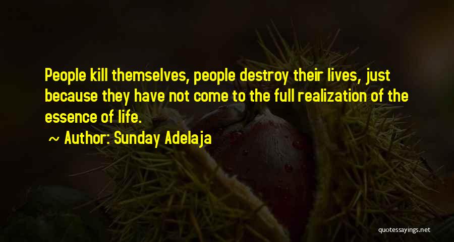 Sunday Adelaja Quotes: People Kill Themselves, People Destroy Their Lives, Just Because They Have Not Come To The Full Realization Of The Essence