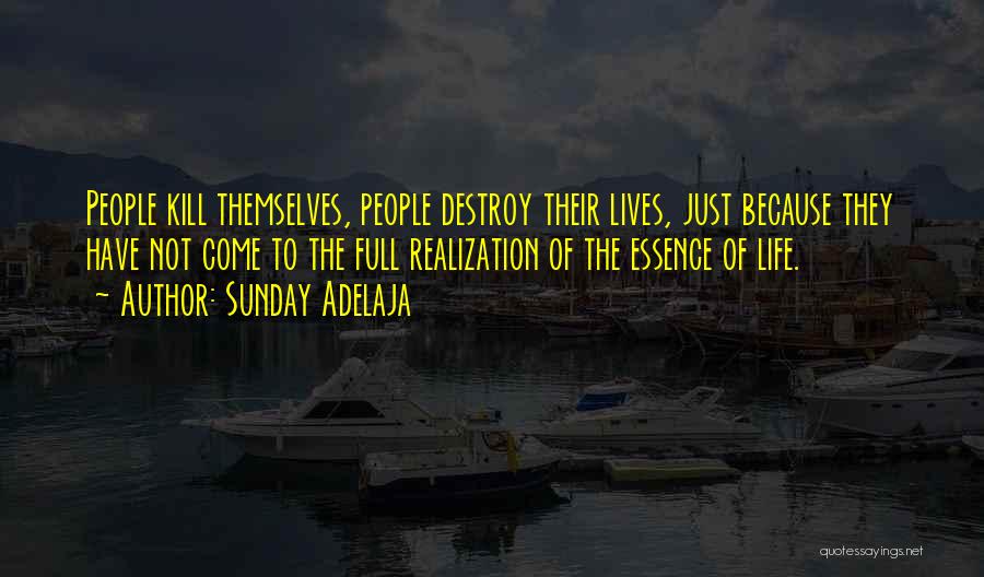 Sunday Adelaja Quotes: People Kill Themselves, People Destroy Their Lives, Just Because They Have Not Come To The Full Realization Of The Essence