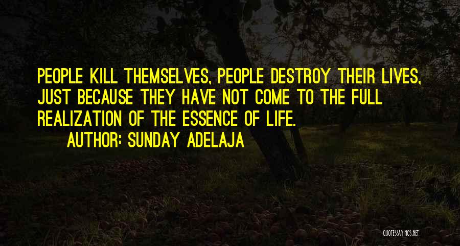 Sunday Adelaja Quotes: People Kill Themselves, People Destroy Their Lives, Just Because They Have Not Come To The Full Realization Of The Essence