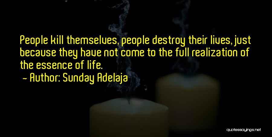 Sunday Adelaja Quotes: People Kill Themselves, People Destroy Their Lives, Just Because They Have Not Come To The Full Realization Of The Essence