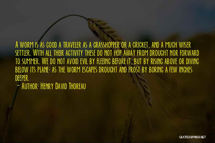 Henry David Thoreau Quotes: A Worm Is As Good A Traveler As A Grasshopper Or A Cricket, And A Much Wiser Settler. With All