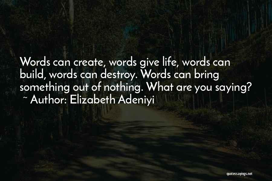 Elizabeth Adeniyi Quotes: Words Can Create, Words Give Life, Words Can Build, Words Can Destroy. Words Can Bring Something Out Of Nothing. What