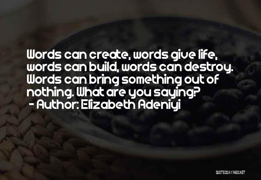 Elizabeth Adeniyi Quotes: Words Can Create, Words Give Life, Words Can Build, Words Can Destroy. Words Can Bring Something Out Of Nothing. What