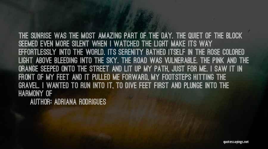 Adriana Rodrigues Quotes: The Sunrise Was The Most Amazing Part Of The Day. The Quiet Of The Block Seemed Even More Silent When