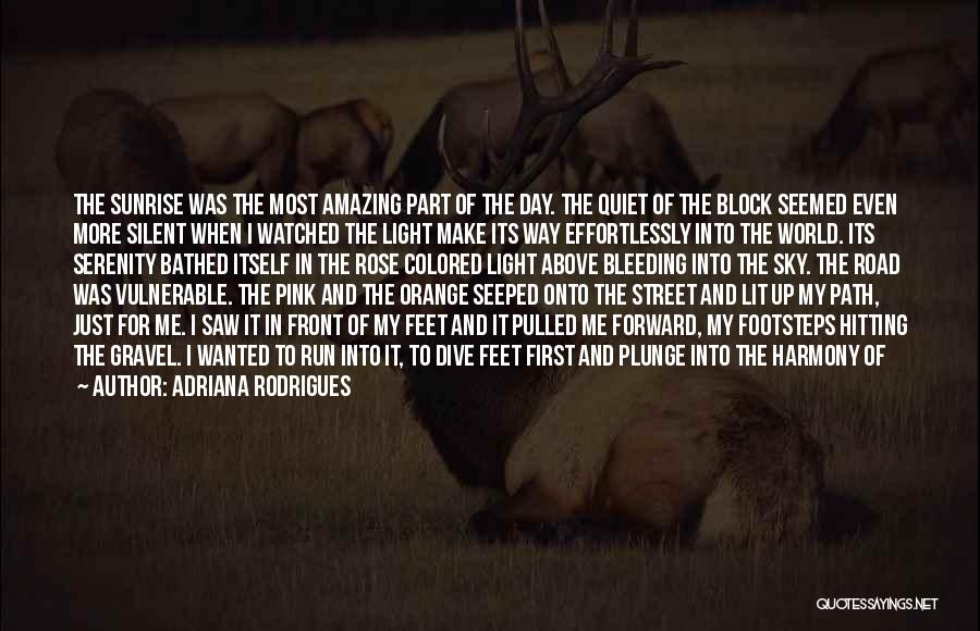 Adriana Rodrigues Quotes: The Sunrise Was The Most Amazing Part Of The Day. The Quiet Of The Block Seemed Even More Silent When