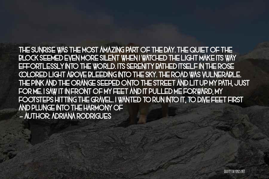 Adriana Rodrigues Quotes: The Sunrise Was The Most Amazing Part Of The Day. The Quiet Of The Block Seemed Even More Silent When