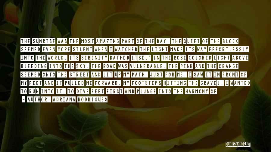 Adriana Rodrigues Quotes: The Sunrise Was The Most Amazing Part Of The Day. The Quiet Of The Block Seemed Even More Silent When