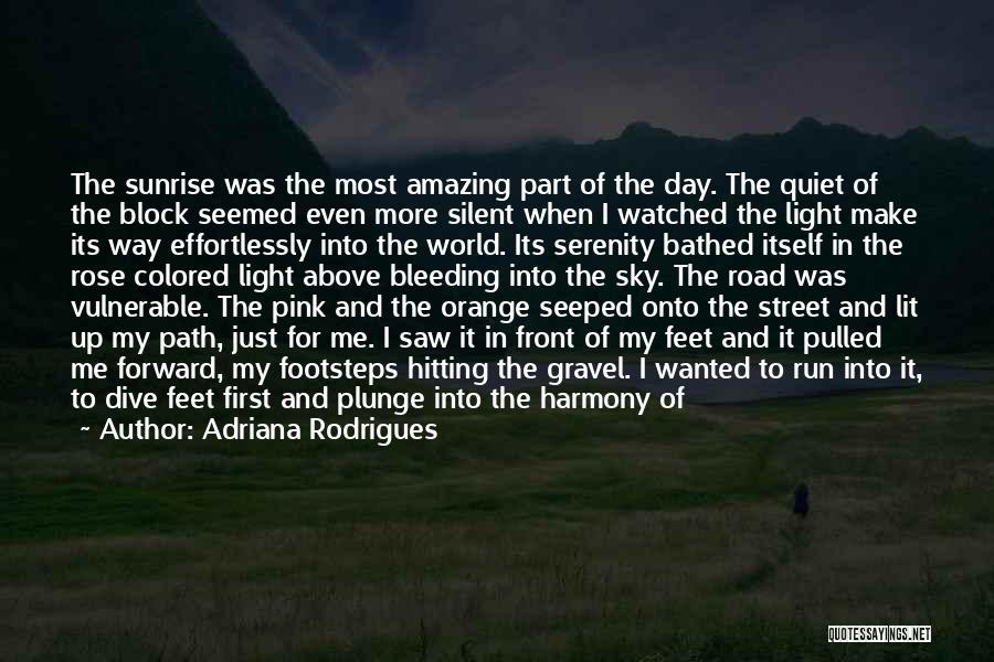 Adriana Rodrigues Quotes: The Sunrise Was The Most Amazing Part Of The Day. The Quiet Of The Block Seemed Even More Silent When