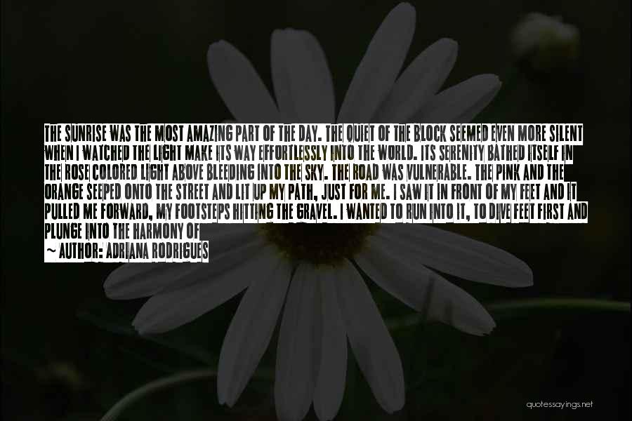 Adriana Rodrigues Quotes: The Sunrise Was The Most Amazing Part Of The Day. The Quiet Of The Block Seemed Even More Silent When