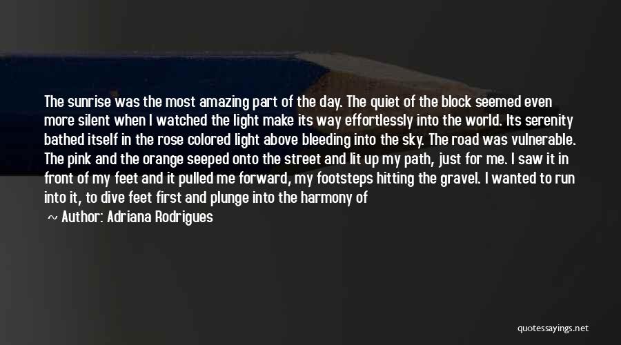 Adriana Rodrigues Quotes: The Sunrise Was The Most Amazing Part Of The Day. The Quiet Of The Block Seemed Even More Silent When