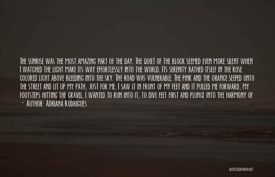 Adriana Rodrigues Quotes: The Sunrise Was The Most Amazing Part Of The Day. The Quiet Of The Block Seemed Even More Silent When