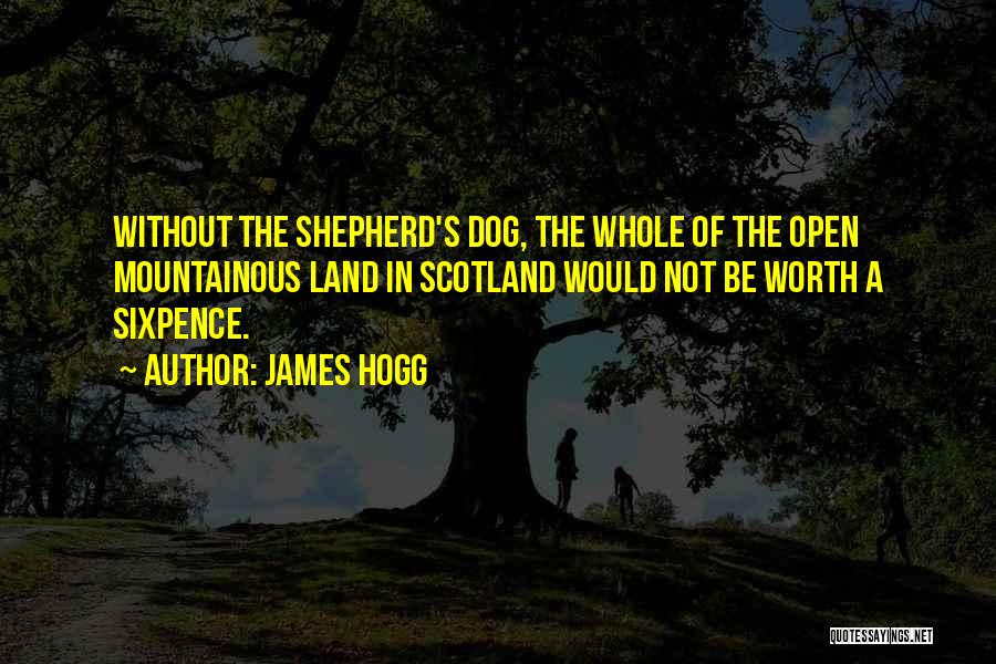 James Hogg Quotes: Without The Shepherd's Dog, The Whole Of The Open Mountainous Land In Scotland Would Not Be Worth A Sixpence.