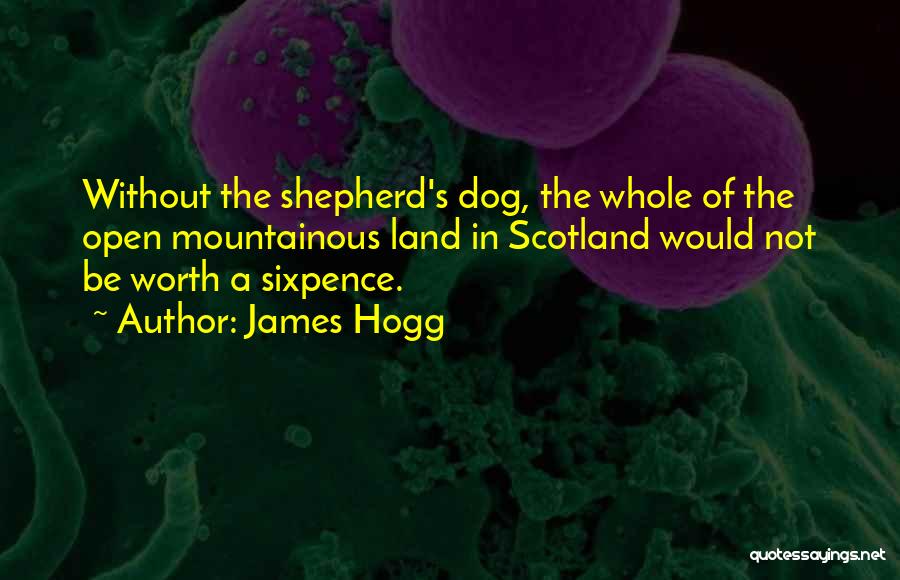 James Hogg Quotes: Without The Shepherd's Dog, The Whole Of The Open Mountainous Land In Scotland Would Not Be Worth A Sixpence.