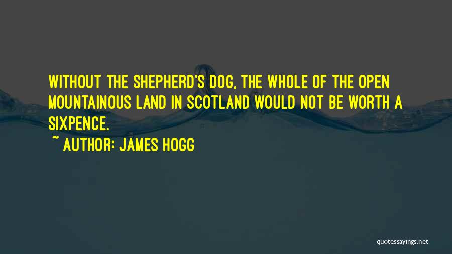 James Hogg Quotes: Without The Shepherd's Dog, The Whole Of The Open Mountainous Land In Scotland Would Not Be Worth A Sixpence.