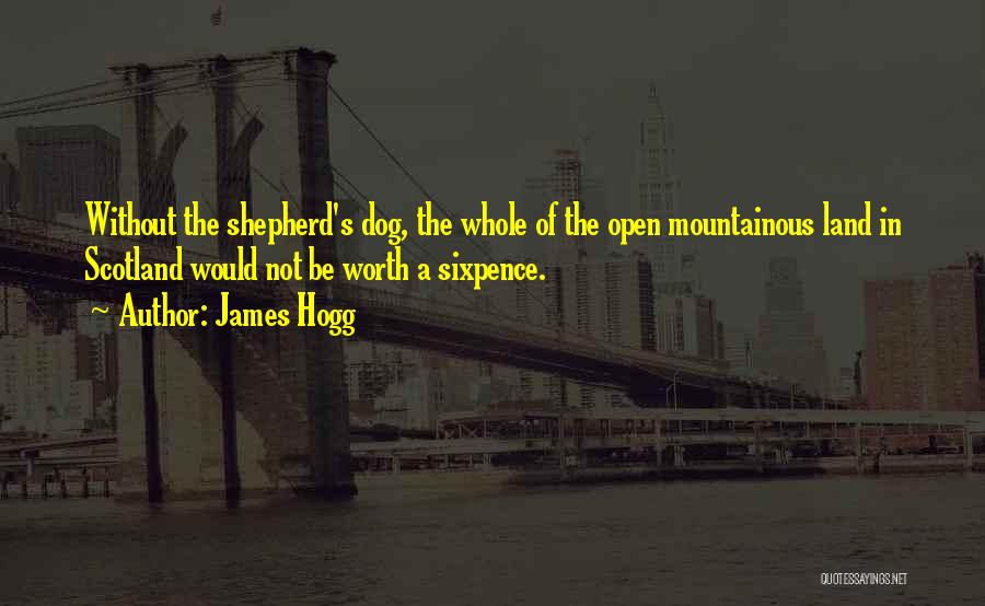 James Hogg Quotes: Without The Shepherd's Dog, The Whole Of The Open Mountainous Land In Scotland Would Not Be Worth A Sixpence.