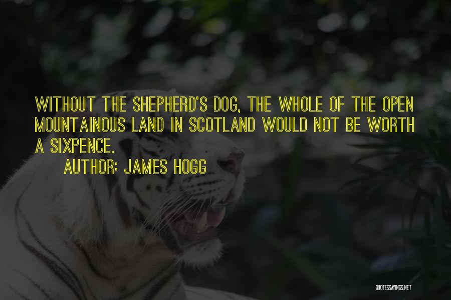 James Hogg Quotes: Without The Shepherd's Dog, The Whole Of The Open Mountainous Land In Scotland Would Not Be Worth A Sixpence.