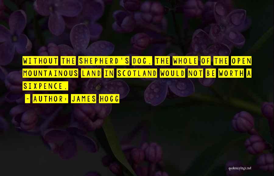 James Hogg Quotes: Without The Shepherd's Dog, The Whole Of The Open Mountainous Land In Scotland Would Not Be Worth A Sixpence.