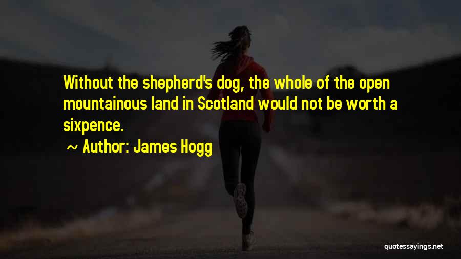 James Hogg Quotes: Without The Shepherd's Dog, The Whole Of The Open Mountainous Land In Scotland Would Not Be Worth A Sixpence.