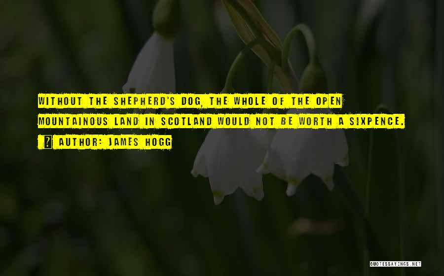 James Hogg Quotes: Without The Shepherd's Dog, The Whole Of The Open Mountainous Land In Scotland Would Not Be Worth A Sixpence.