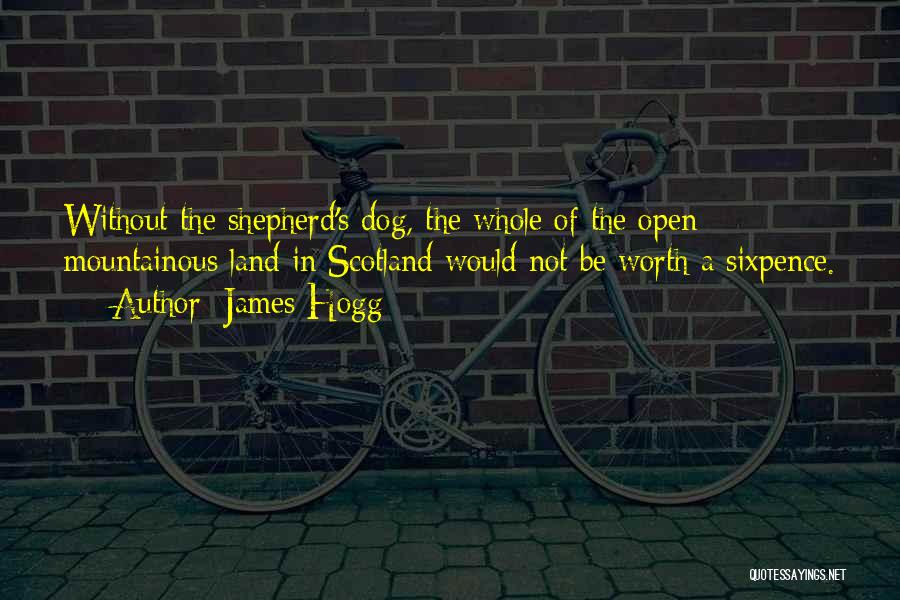 James Hogg Quotes: Without The Shepherd's Dog, The Whole Of The Open Mountainous Land In Scotland Would Not Be Worth A Sixpence.