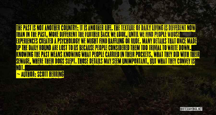 Scott Herring Quotes: The Past Is Not Another Country; It Is Another Life. The Texture Of Daily Living Is Different Now Than In