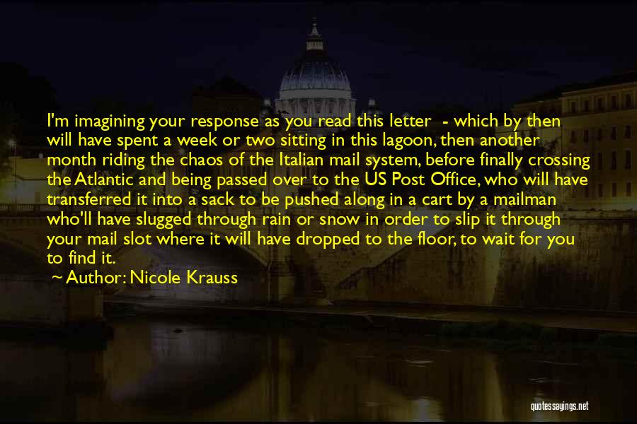 Nicole Krauss Quotes: I'm Imagining Your Response As You Read This Letter - Which By Then Will Have Spent A Week Or Two