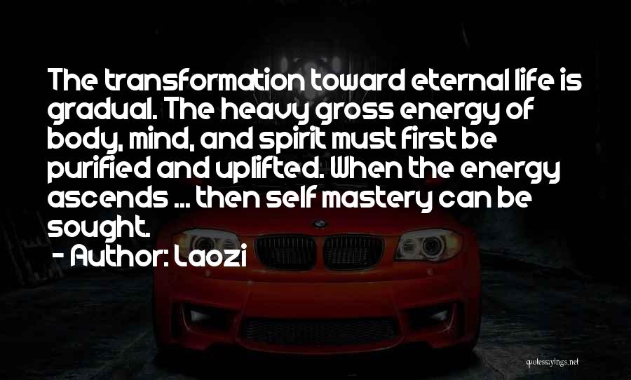 Laozi Quotes: The Transformation Toward Eternal Life Is Gradual. The Heavy Gross Energy Of Body, Mind, And Spirit Must First Be Purified