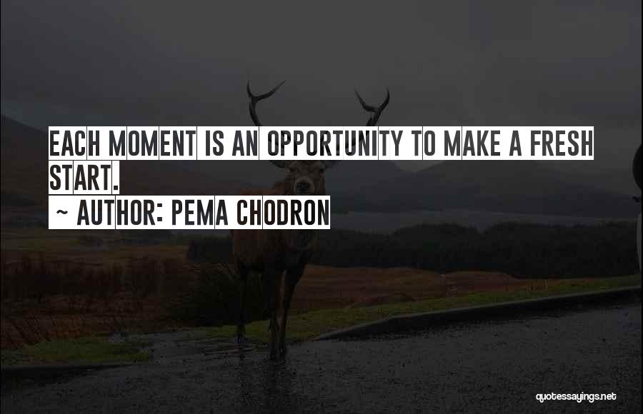 Pema Chodron Quotes: Each Moment Is An Opportunity To Make A Fresh Start.