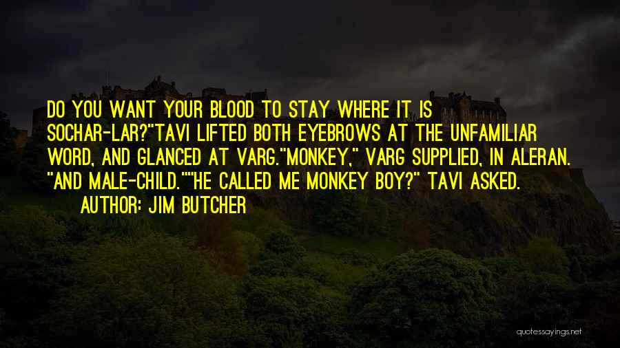 Jim Butcher Quotes: Do You Want Your Blood To Stay Where It Is Sochar-lar?tavi Lifted Both Eyebrows At The Unfamiliar Word, And Glanced