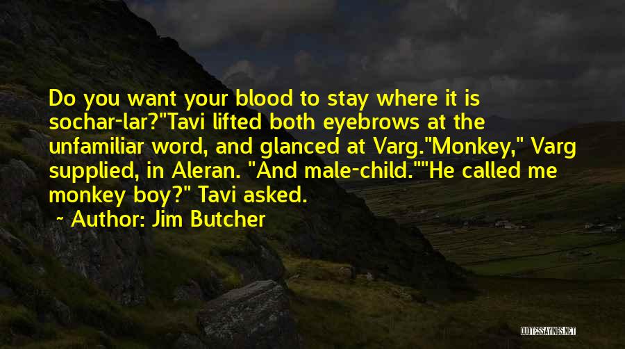 Jim Butcher Quotes: Do You Want Your Blood To Stay Where It Is Sochar-lar?tavi Lifted Both Eyebrows At The Unfamiliar Word, And Glanced