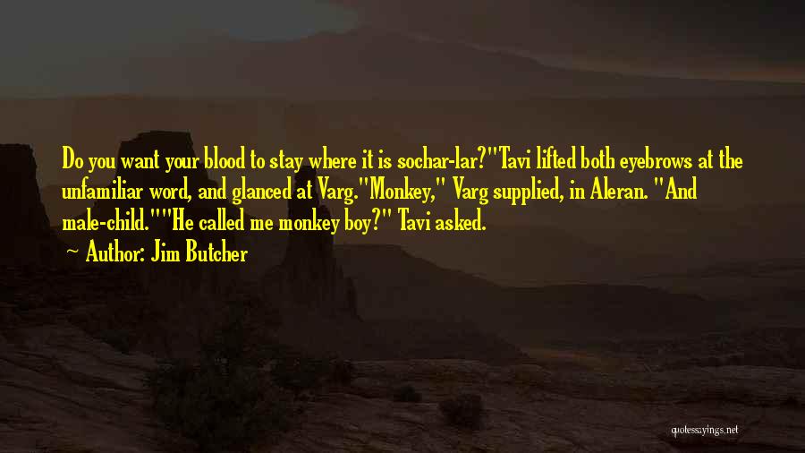 Jim Butcher Quotes: Do You Want Your Blood To Stay Where It Is Sochar-lar?tavi Lifted Both Eyebrows At The Unfamiliar Word, And Glanced