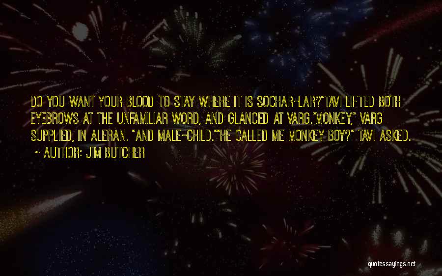 Jim Butcher Quotes: Do You Want Your Blood To Stay Where It Is Sochar-lar?tavi Lifted Both Eyebrows At The Unfamiliar Word, And Glanced